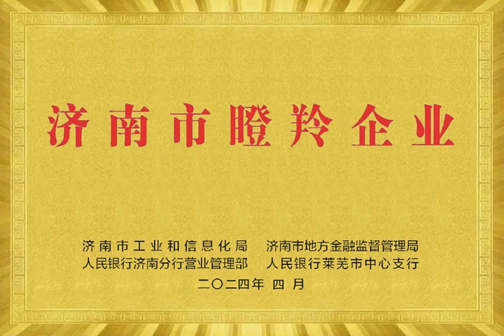 濟南市瞪羚企業(yè)2.jpg